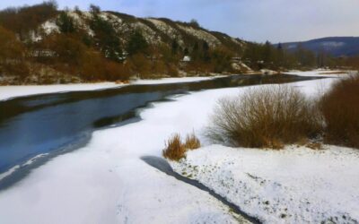 Mayo con pocas lluvias y peces que se encogen en los mares