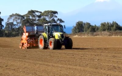 Chequia pide aranceles a productos de Ucrania