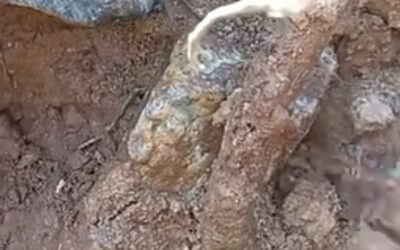 „¡Montañas Doradas, nombre profético! Aparece oro oculto en Chequia“